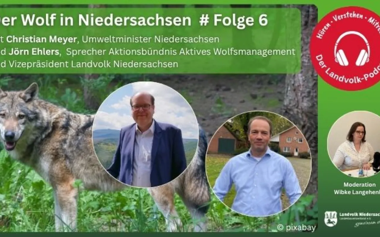 Wie schutzbedürftig ist der Wolf?