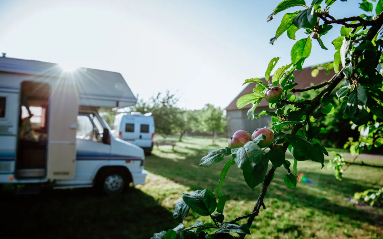 Urlaub auf dem Hof: Nah an Natur und Landwirtschaft