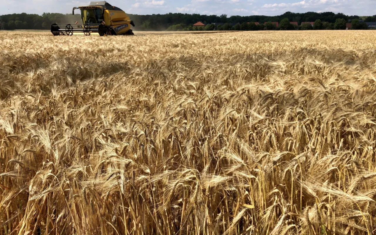 Hitze fordert Landwirte auf allen Ebenen