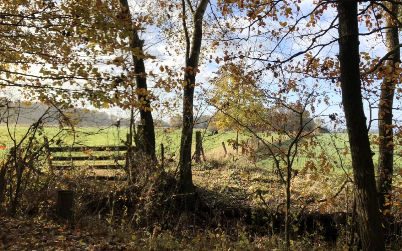 Jetzt sind Landwirte und Waldbesitzer gefragt